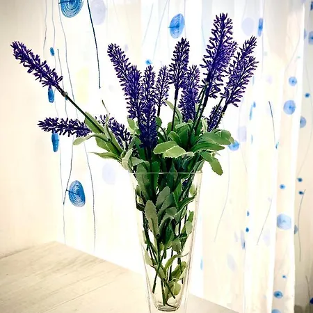 Il Rio Grande Daire Beverino