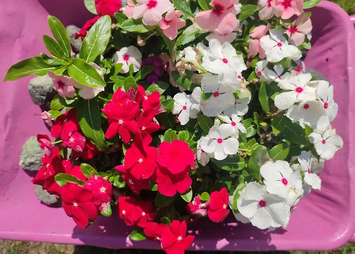 Il Rio Grande Apartment Beverino